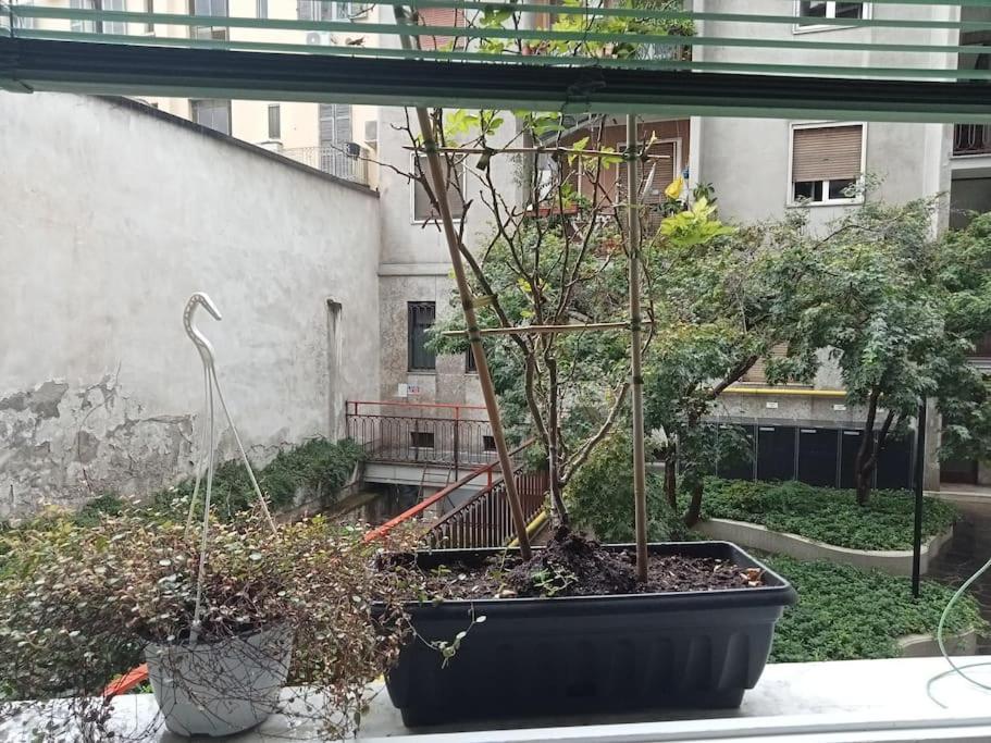 Il Grande Blu Apartment Milan Luaran gambar